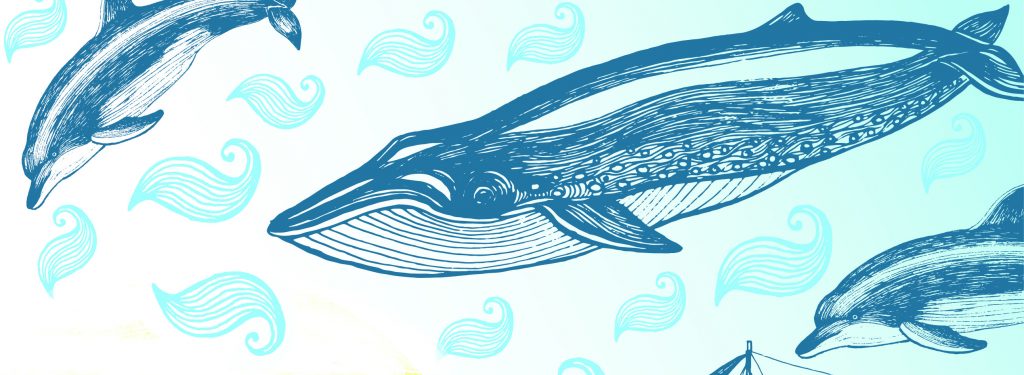Dolphin Consciousness | Elemental Beings